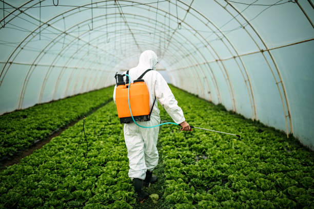 Best Pest Removal Services  in West Burlington, IA