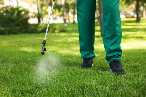 Best Mosquito Control Services  in West Burlington, IA