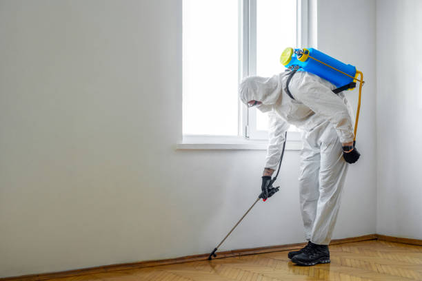 Insect Control in West Burlington, IA