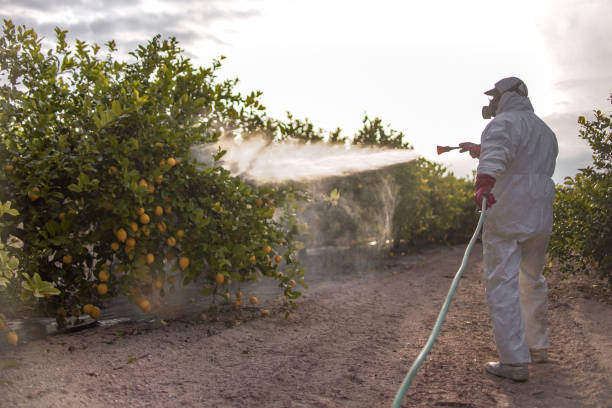 Best Residential Pest Control  in West Burlington, IA