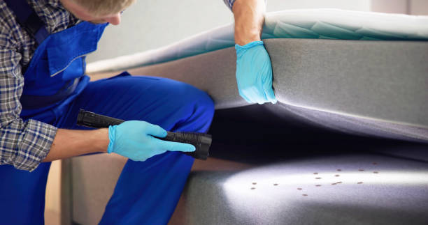 Best Pest Control Near Me  in West Burlington, IA