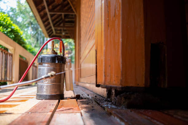 Best Best Pest Control Companies  in West Burlington, IA
