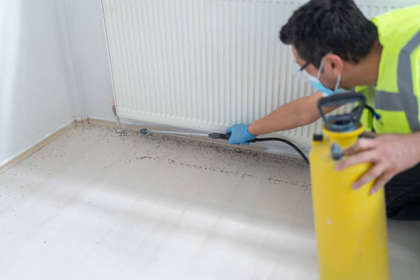 Best Best Pest Control Companies  in West Burlington, IA