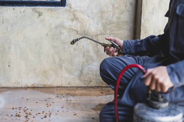 Best Pest Prevention Services  in West Burlington, IA