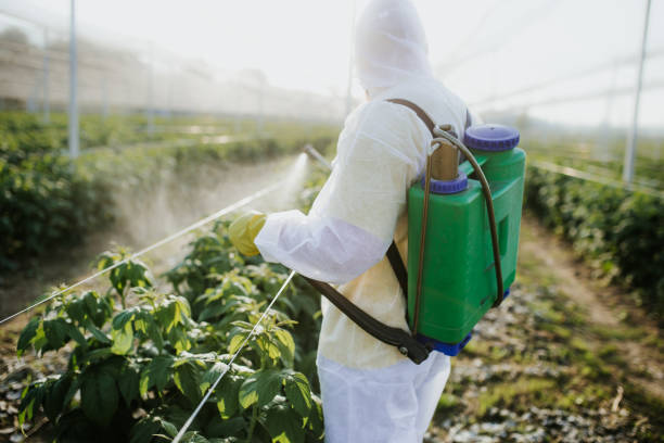 Best Cockroach Control Services  in West Burlington, IA